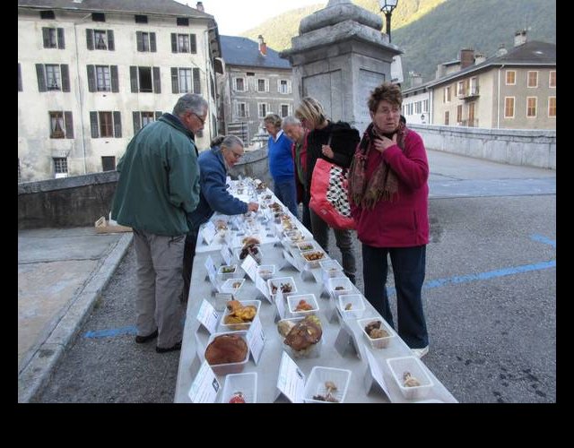 Expo sur le marché de Moûtiers &copy;photo G. Genet