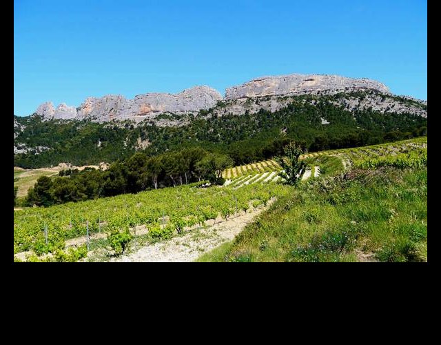 Les dentelles de Montmirail depuis la route près de Lafare &copy;photo M.&nbsp;Pantaloni