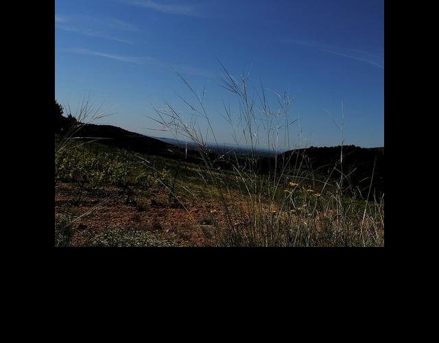 Le Stipe d'Offner &copy;photo O. Lussiana